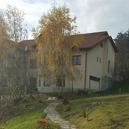 Trovanti Apartment Feleacu Exteriér fotografie