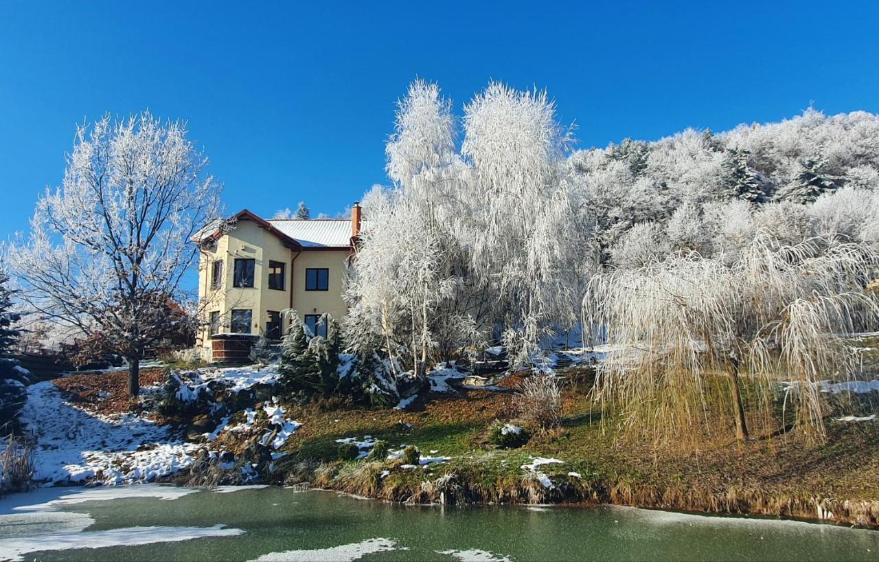 Trovanti Apartment Feleacu Exteriér fotografie